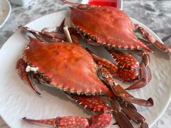 -津门小红坊海鲜·海胆饺子(滨海开发区店)