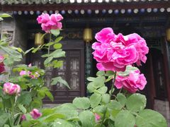 -湘子庙