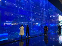 -成都浩海立方海洋公园