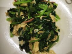 鸡毛菜百叶丝-老吉士酒家(天平路店)