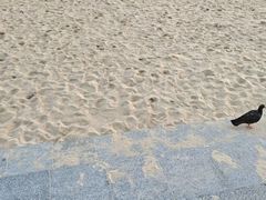 -海云台海滩