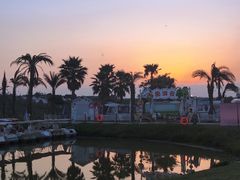 -空港花田景区