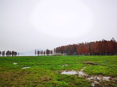 -四明湖