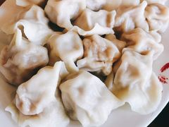 羊肉大葱馅水饺-鸿毛饺子(紫竹桥店)