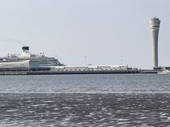 -吴淞炮台湾湿地森林公园烧烤区