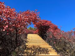 -水峪民俗村