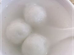 -海丝金凤(金鱼店)