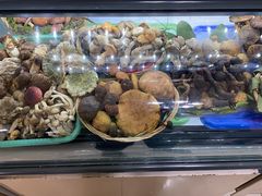 -野菌王•养生汤锅•野生菌火锅(大理漾濞路店)