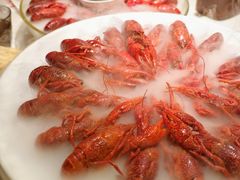 -红盔甲·小龙虾(天钥桥店)