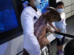 -侏罗纪世界电影特展(广州站)