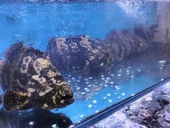 -钱塘府海鲜餐厅