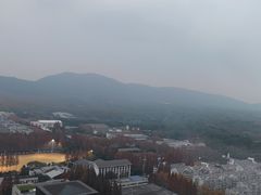 -南京维景国际大酒店(南京博物院店)