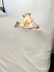 -玛瑞莎孕婴童摄影到家拍