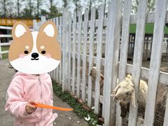 -前小桔亲子创意农场·草莓采摘·露营烧烤