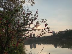 -广西壮族自治区药用植物园