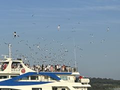 -海驴岛(荣成市)