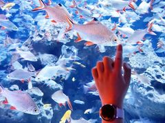 -成都浩海立方海洋公园