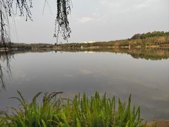 -洛龙公园