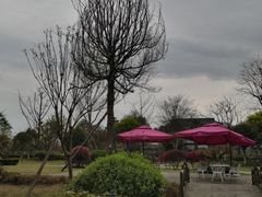 -成都安仁福朋喜来登酒店