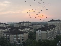 -旧宫(地铁站)