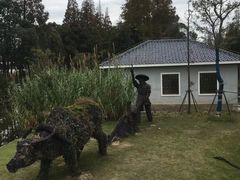 -上海长兴岛郊野公园