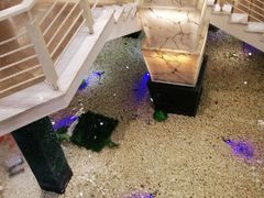 -宝燕海鲜(好爱店)