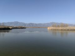 -野鸭湖国家湿地公园