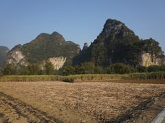 -明仕田园