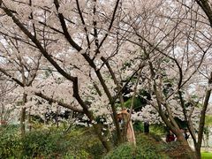 -闵行体育馆-停车场