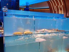 -山海•蒸汽活海鲜自助(皇庭广场店)
