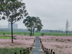 -汉长安城未央宫国家考古遗址公园