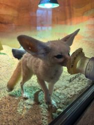 -酷嗒动物文化乐园(cutezoo西溪乐天城店)