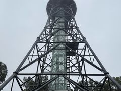 -汤旺河林海奇石景区