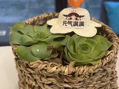 -维乐口腔·埃齐门诊(静安店)