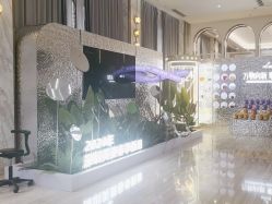 -深圳美莱医疗美容医院