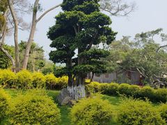 -胡里山炮台