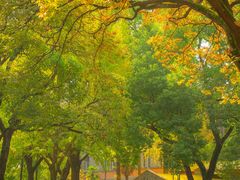 -苏州大学(天赐庄校区)