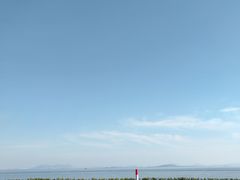 -贡湖湾湿地公园