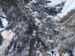 -嘉陵江源头景区