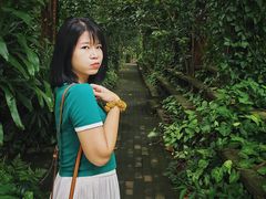 -南宁良凤江国家森林公园