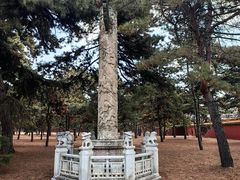 -北陵公园