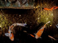 -功德林(南京西路店)