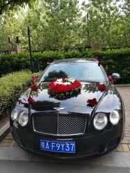 点击看大图 -蚂蚁婚车