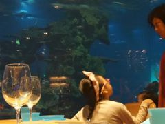 -海棠湾洲际-涛·海底餐厅·美人鱼·自助餐·海底隧道