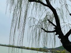 -云龙湖旅游景区