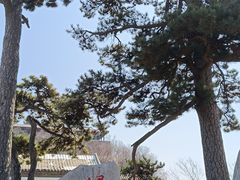 -妙峰山风景名胜区