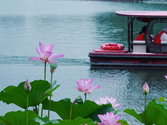 -后海公园