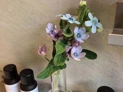 -泰合玺·精油疗愈 SPA(南京河西万达店)