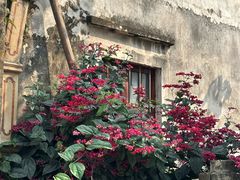 -三溪村