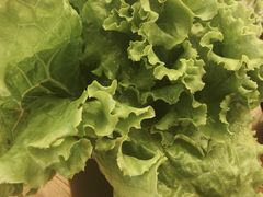 -九田家黑牛烤肉料理(衡百国际店)